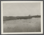 View. Fort Pond Bay. Montauk, East Hampton
