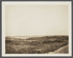 View of Fort Pond. Montauk, East Hampton