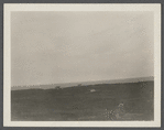 Shore line at Hither Plains. East of Parsons Inn, view from hills. Montauk, East Hampton