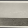 View. North of Hither Plains. Montauk, East Hampton