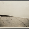 View of shore (new site of first house). Montauk, East Hampton