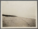 View of shore (new site of first house). Montauk, East Hampton