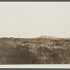 Site of first house. Montauk, East Hampton