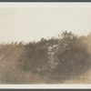 Cellar foundation of first house. House erected by S. Hughes (1702), burnt down (1908). Montauk, East Hampton