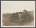 Cellar foundation of first house. House erected by S. Hughes (1702), burnt down (1908). Montauk, East Hampton
