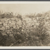Cellar foundation of first house. House erected by S. Hughes (1702), burnt down (1908). Montauk, East Hampton