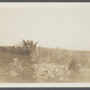 Cellar foundation of first house. House erected by S. Hughes (1702), burnt down (1908). Montauk, East Hampton