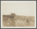 Cellar foundation of first house. House erected by S. Hughes (1702), burnt down (1908). Montauk, East Hampton
