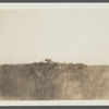 Cellar foundation of first house. House erected by S. Hughes (1702), burnt down (1908). Montauk, East Hampton