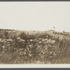 Cellar foundation of first house. House erected by S. Hughes (1702), burnt down (1908). Montauk, East Hampton