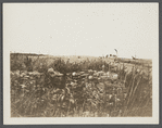 Cellar foundation of first house. House erected by S. Hughes (1702), burnt down (1908). Montauk, East Hampton