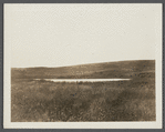 Pond on west side of site of first house. Old burial ground on left. Montauk, East Hampton
