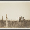 Remains of first house. Montauk, East Hampton