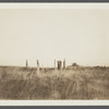 Remains of first house. Montauk, East Hampton