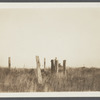 Remains of first house. Montauk, East Hampton
