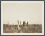 Remains of first house. Montauk, East Hampton