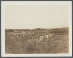 Cemetery. 200 feet west of ruins of first house, north of roadway. Montauk, East Hampton