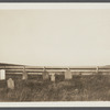 Cemetery. 200 feet west of ruins of first house, north of roadway. Montauk, East Hampton
