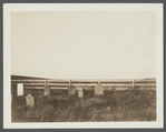 Cemetery. 200 feet west of ruins of first house, north of roadway. Montauk, East Hampton