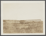 Cemetery. 200 feet west of ruins of first house, north of roadway. Montauk, East Hampton