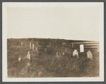 Cemetery. 200 feet west of ruins of first house, north of roadway. Montauk, East Hampton