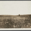 Remains of first house. Built by Samuel Hedges (1713). Montauk, East Hampton