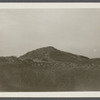 View. Sand dunes near site of first house within State Park. Montauk, East Hampton