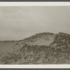 View. Sand dunes near site of first house within State Park. Montauk, East Hampton