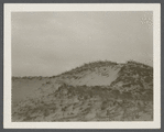 View. Sand dunes near site of first house within State Park. Montauk, East Hampton