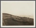 View of road between first and second house looking west. Montauk, East Hampton