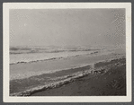 View. Beach in Montauk. Surf at Hither Plain after storm. Montauk, East Hampton