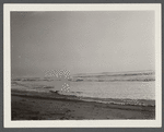 View. Beach in Montauk. Surf at Hither Plain after storm. Montauk, East Hampton