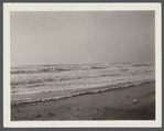 View. Beach in Montauk. Surf at Hither Plain after storm. Montauk, East Hampton