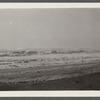 View. Beach in Montauk. Surf at Hither Plain after storm. Montauk, East Hampton