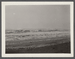 View. Beach in Montauk. Surf at Hither Plain after storm. Montauk, East Hampton