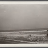 View. Beach in Montauk. Surf at Hither Plain. Montauk, East Hampton