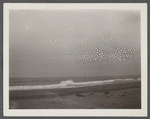 View. Beach in Montauk. Surf at Hither Plain. Montauk, East Hampton