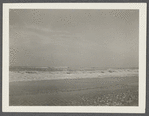 View. Beach in Montauk. Surf at Hither Plain. Montauk, East Hampton