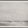 View. Beach in Montauk. Surf at Hither Plain. Montauk, East Hampton