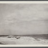 View. Beach in Montauk. Surf at Hither Plain. Montauk, East Hampton