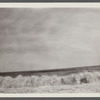 View. Beach in Montauk. Surf at Hither Plain. Montauk, East Hampton