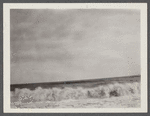 View. Beach in Montauk. Surf at Hither Plain. Montauk, East Hampton