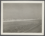 View. Beach in Montauk. Surf at Hither Plain. Montauk, East Hampton