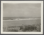 View. Beach in Montauk. Surf at Hither Plain. Montauk, East Hampton