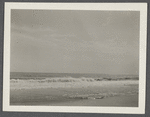 View. Beach in Montauk. Surf at Hither Plain. Montauk, East Hampton