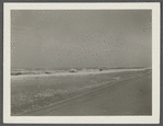 View. Beach in Montauk. Surf at Hither Plain. Montauk, East Hampton