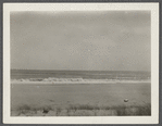 View. Beach in Montauk. Surf at Hither Plain. Montauk, East Hampton