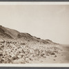 View. Beach in Montauk. Shore at west of Hither Plain Life Savings Station. Montauk, East Hampton