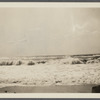 View. Beach in Montauk. Surf at Hither Plain. Montauk, East Hampton