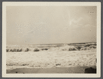 View. Beach in Montauk. Surf at Hither Plain. Montauk, East Hampton